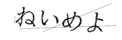 CAPTCHA画像