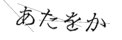 CAPTCHA画像