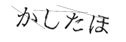 CAPTCHA画像