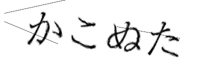 CAPTCHA画像