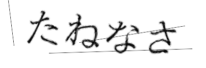 CAPTCHA画像