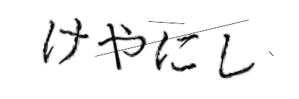 CAPTCHA画像