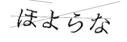 CAPTCHA画像