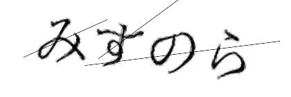 CAPTCHA画像