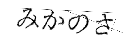 CAPTCHA画像