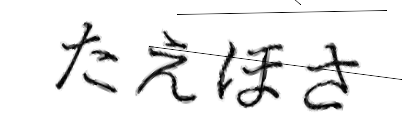 CAPTCHA画像