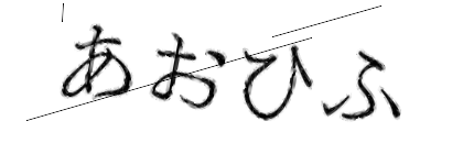 CAPTCHA画像