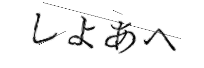 CAPTCHA画像