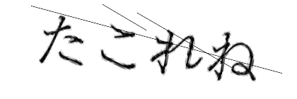CAPTCHA画像