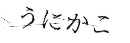 CAPTCHA画像