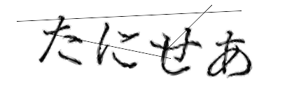 CAPTCHA画像