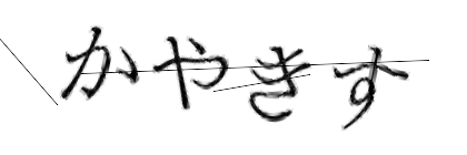 CAPTCHA画像