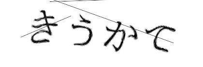CAPTCHA画像