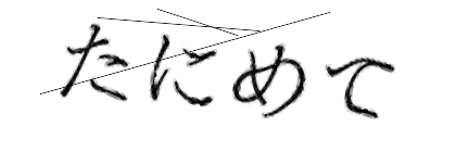 CAPTCHA画像