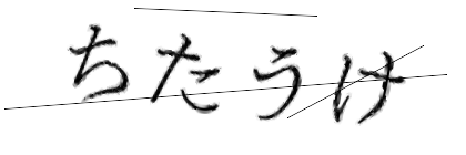 CAPTCHA画像
