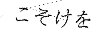 CAPTCHA画像