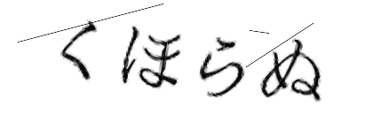 CAPTCHA画像
