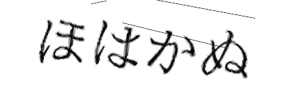 CAPTCHA画像