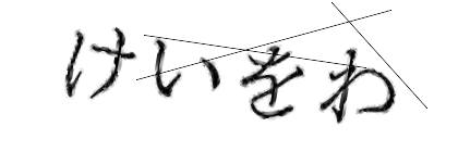 CAPTCHA画像