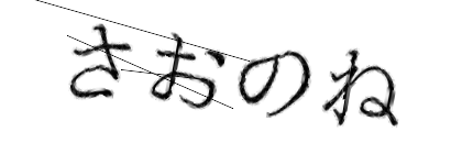 CAPTCHA画像