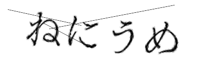 CAPTCHA画像