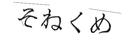 CAPTCHA画像