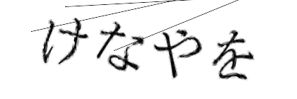 CAPTCHA画像