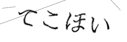 CAPTCHA画像