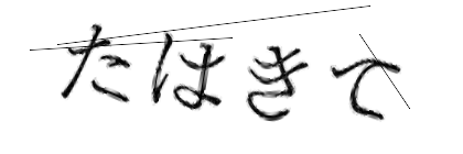 CAPTCHA画像