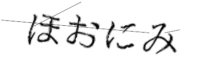 CAPTCHA画像