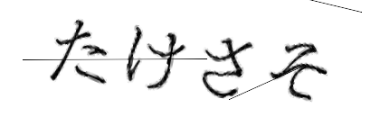 CAPTCHA画像