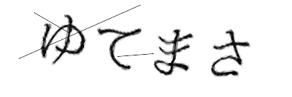 CAPTCHA画像
