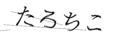 CAPTCHA画像