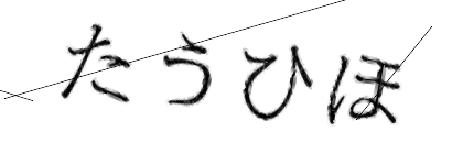 CAPTCHA画像