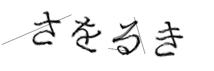 CAPTCHA画像