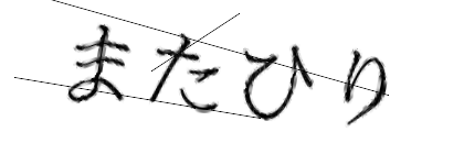 CAPTCHA画像