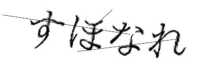 CAPTCHA画像
