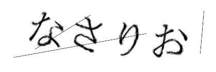 CAPTCHA画像