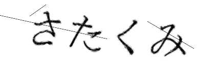CAPTCHA画像