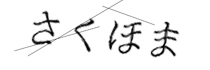 CAPTCHA画像