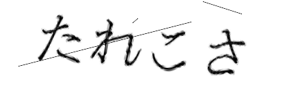 CAPTCHA画像