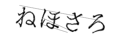 CAPTCHA画像