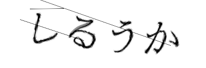 CAPTCHA画像