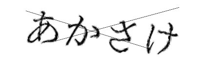 CAPTCHA画像