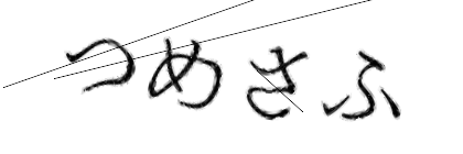 CAPTCHA画像