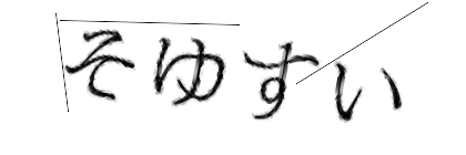 CAPTCHA画像