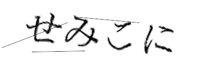 CAPTCHA画像