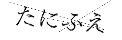 CAPTCHA画像