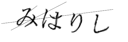 CAPTCHA画像