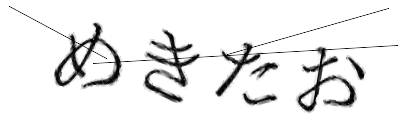 CAPTCHA画像